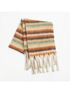 Fringe Contrast Striped Polyester Scarf