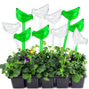 10 Pack Plant Watering Globes, Bird Shape Self Watering Bulbs, Automatic Watering Device, Clear Plastic Bulbs for Indoor and Outdoor Plants