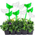 10 Pack Plant Watering Globes, Bird Shape Self Watering Bulbs, Automatic Watering Device, Clear Plastic Bulbs for Indoor and Outdoor Plants