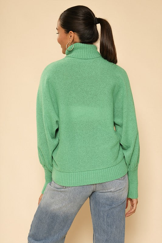 Turtle neck holiday sweater