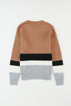 Brown Casual Striped Colorblock Ribbed Knit Sweater