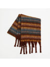 Fringe Contrast Striped Polyester Scarf