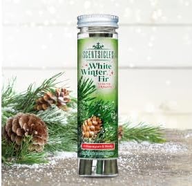 Scentsicles White Winter Fir Scented Christmas Tree Ornaments - 2 Bottles (12 Sticks Total)