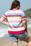 Rose Stripe Colorblock Plus Size Knit Henley Top