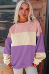 Sky Blue Colorblock Drop Shoulder Sweatshirt