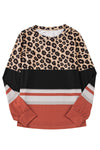 Brown Leopard Striped Color Block Long Sleeve Top