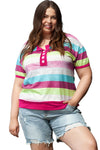 Rose Stripe Colorblock Plus Size Knit Henley Top