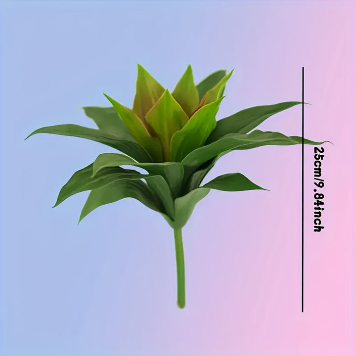 variants4