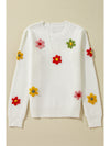 Crochet Flower Round Neck Long Sleeve Sweater