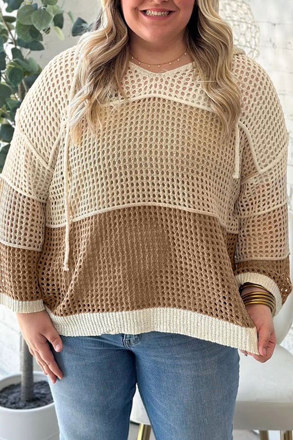 Parchment Colorblock Hollowed Knit Plus Size Hooded Jumper Sweater