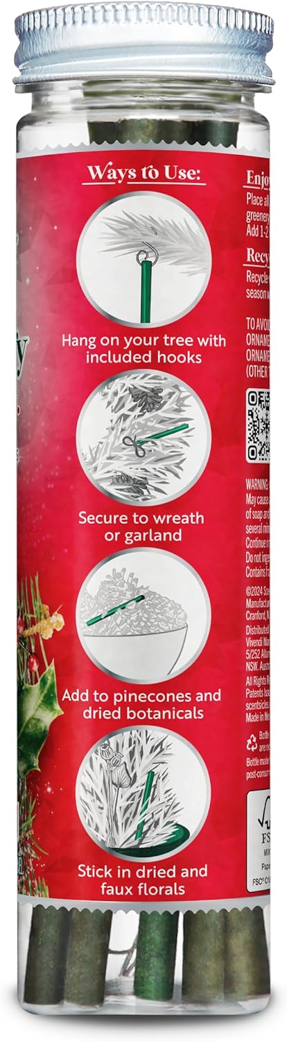 Scentsicles White Winter Fir Scented Christmas Tree Ornaments - 2 Bottles (12 Sticks Total)