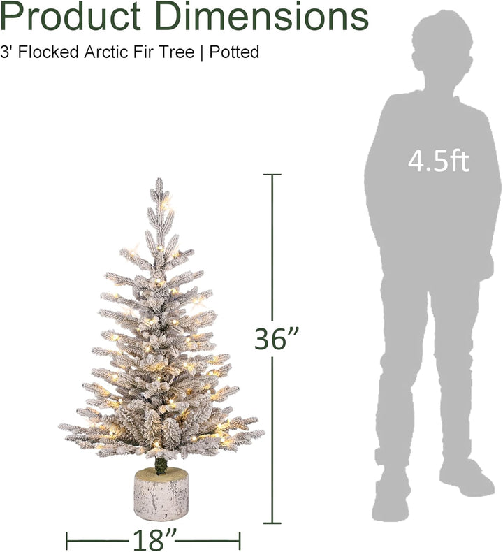International 4.5ft Pre-Lit Potted Flocked Arctic Fir Christmas Tree
