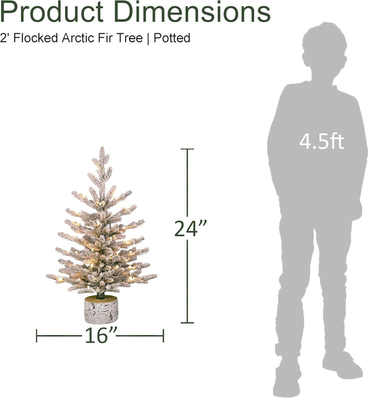 International 4.5ft Pre-Lit Potted Flocked Arctic Fir Christmas Tree