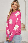 Bright Pink Daisy Ribbed Hem Sweater