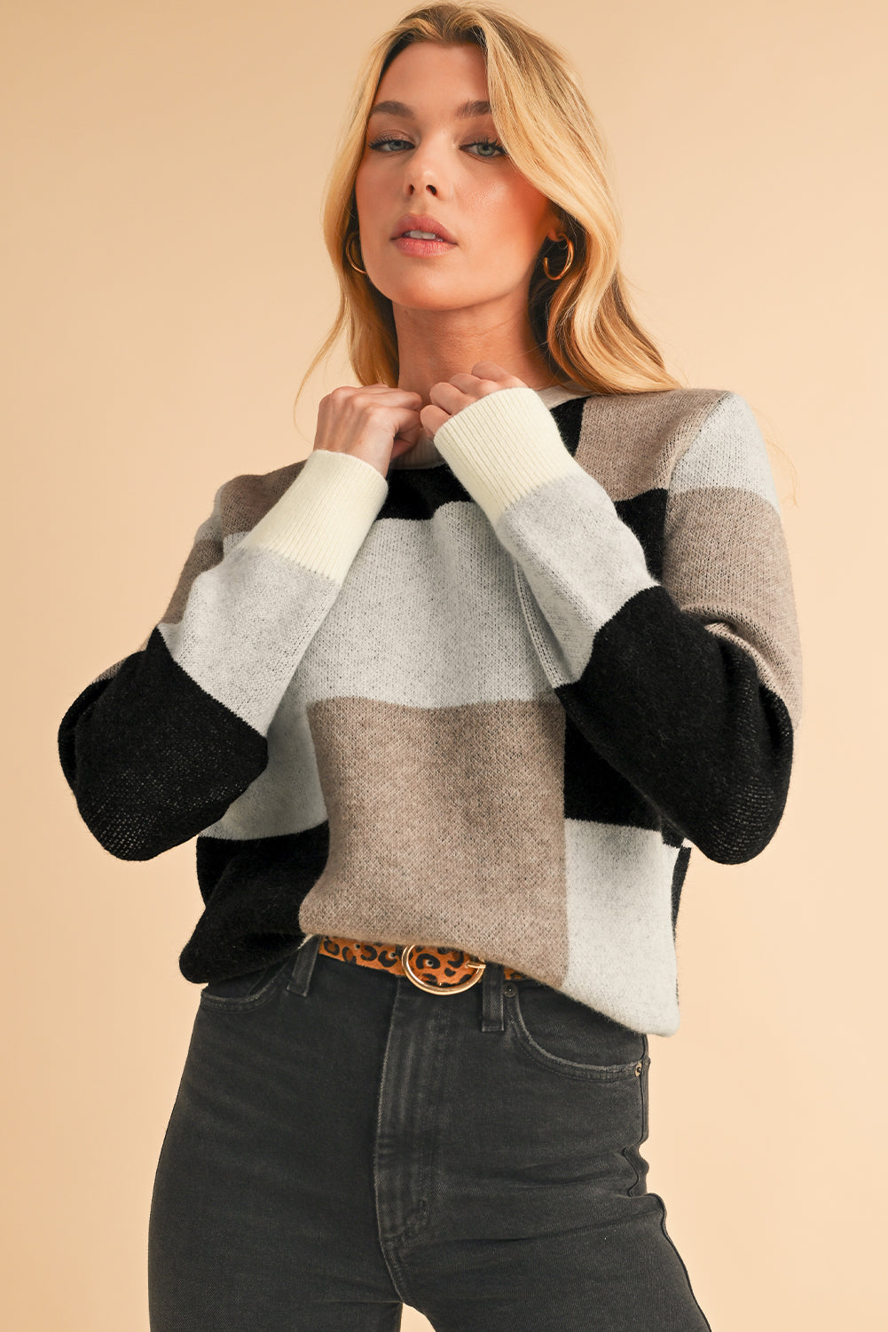 Black Checkered Colorblock Round Neck Knit Sweater