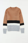 Brown Casual Striped Colorblock Ribbed Knit Sweater