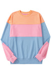 Sky Blue Colorblock Drop Shoulder Sweatshirt