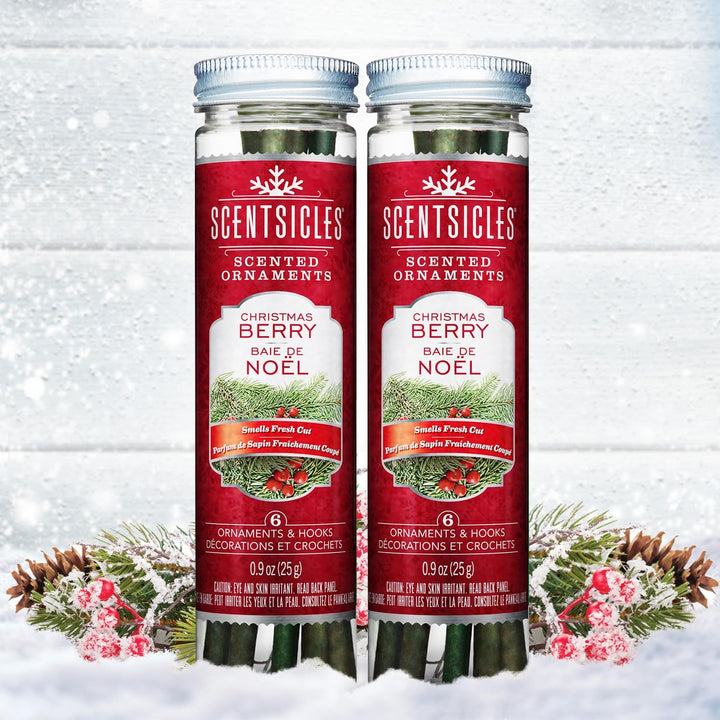 Scentsicles White Winter Fir Scented Christmas Tree Ornaments - 2 Bottles (12 Sticks Total)