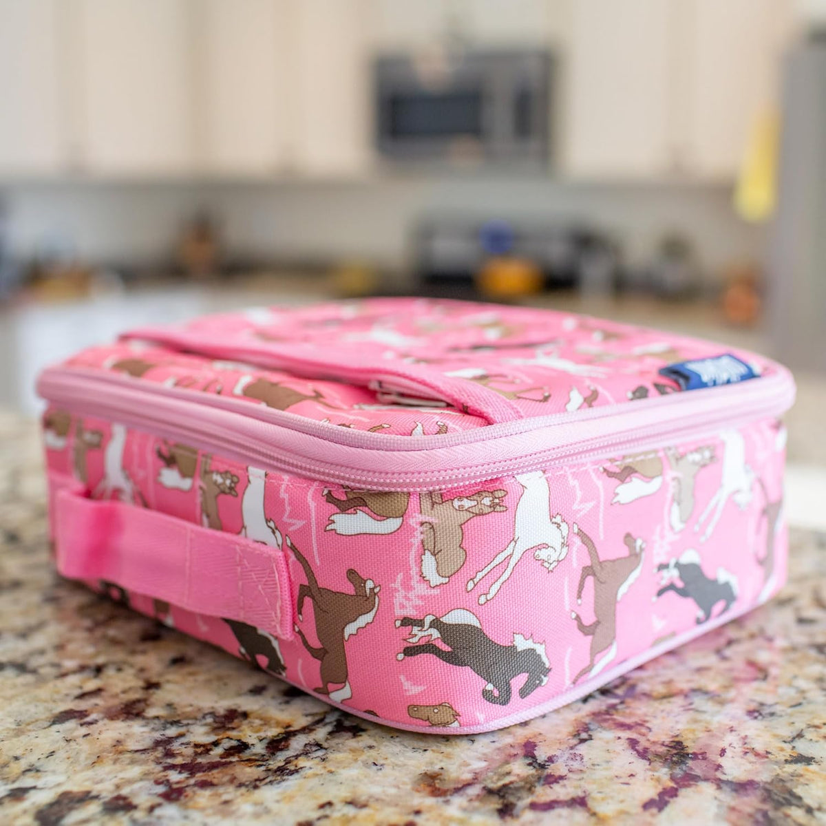 Insulated Lunch Box Bag