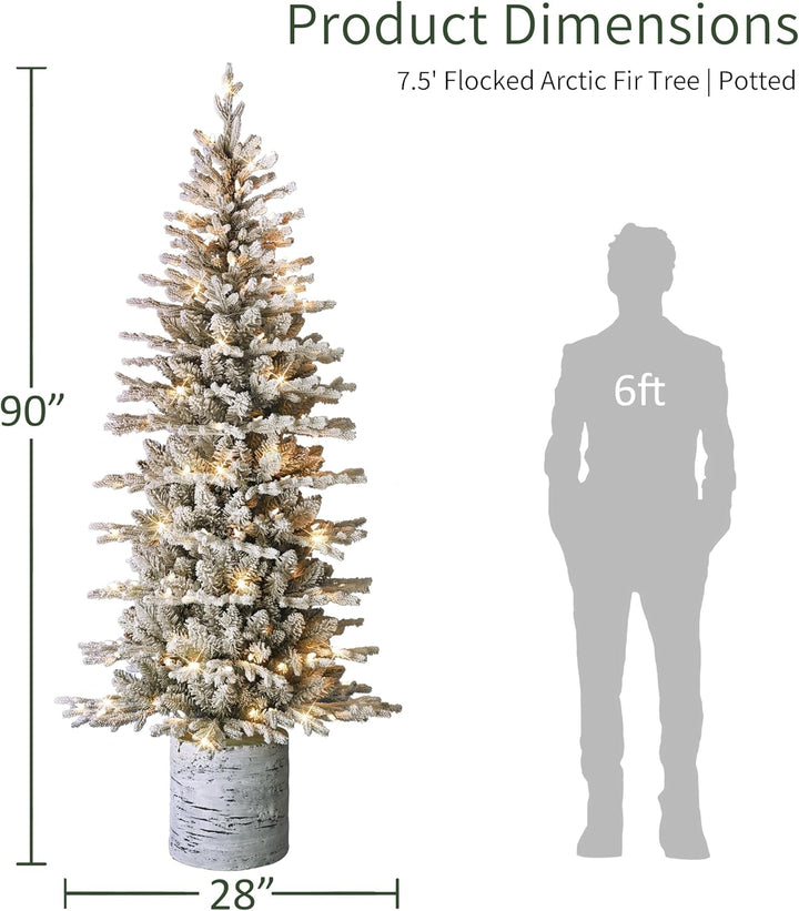 International 4.5ft Pre-Lit Potted Flocked Arctic Fir Christmas Tree