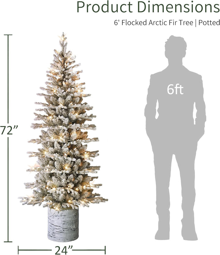 International 4.5ft Pre-Lit Potted Flocked Arctic Fir Christmas Tree