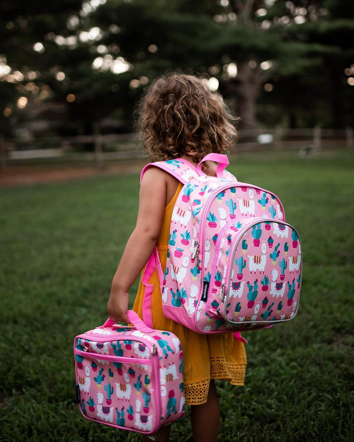 Insulated Lunch Box Bag