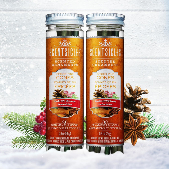 Scentsicles White Winter Fir Scented Christmas Tree Ornaments - 2 Bottles (12 Sticks Total)