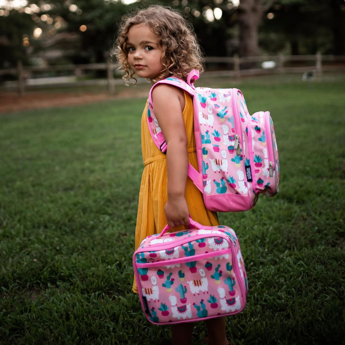 Insulated Lunch Box Bag