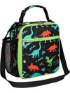 Insulated Kids Lunch Bag