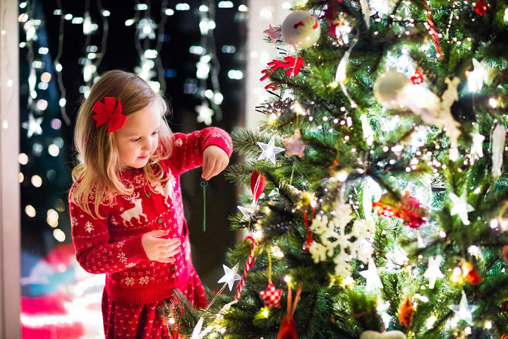 Scentsicles White Winter Fir Scented Christmas Tree Ornaments - 2 Bottles (12 Sticks Total)