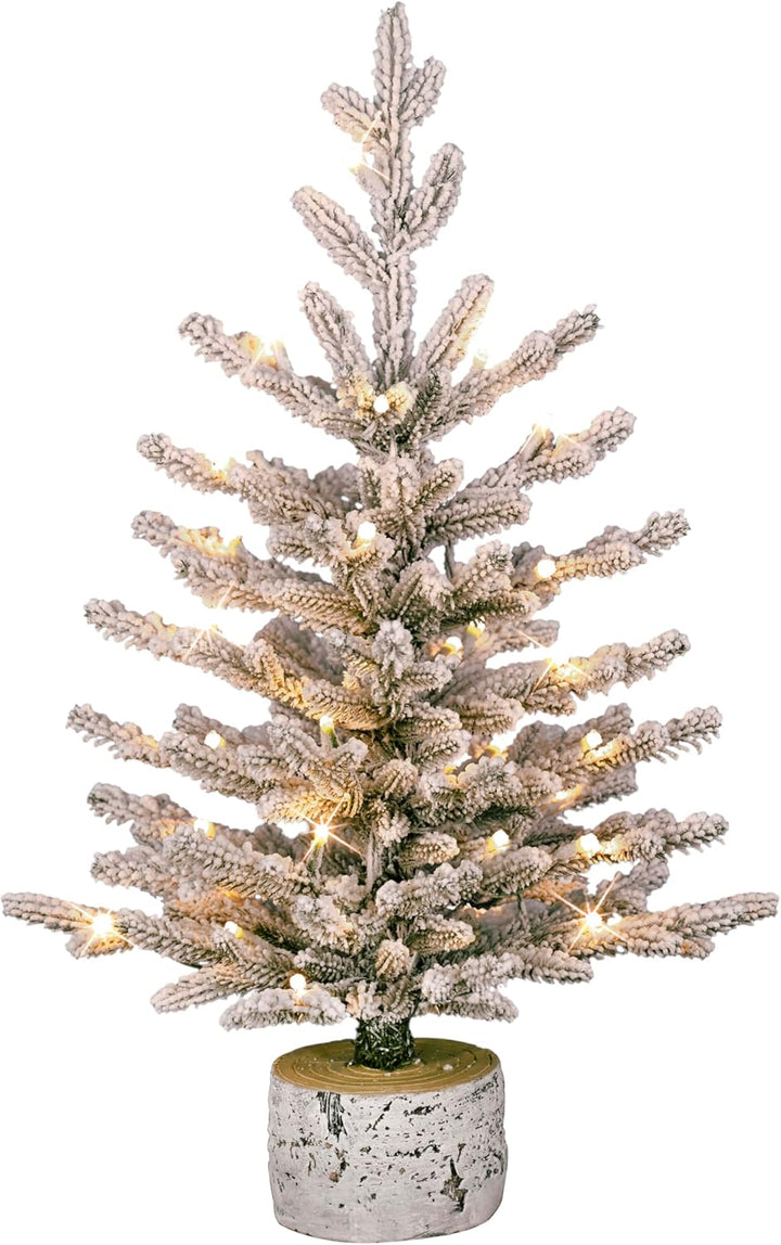 International 4.5ft Pre-Lit Potted Flocked Arctic Fir Christmas Tree