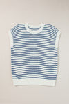 Blue Stripe Contrast Trim Knit Dolman Top