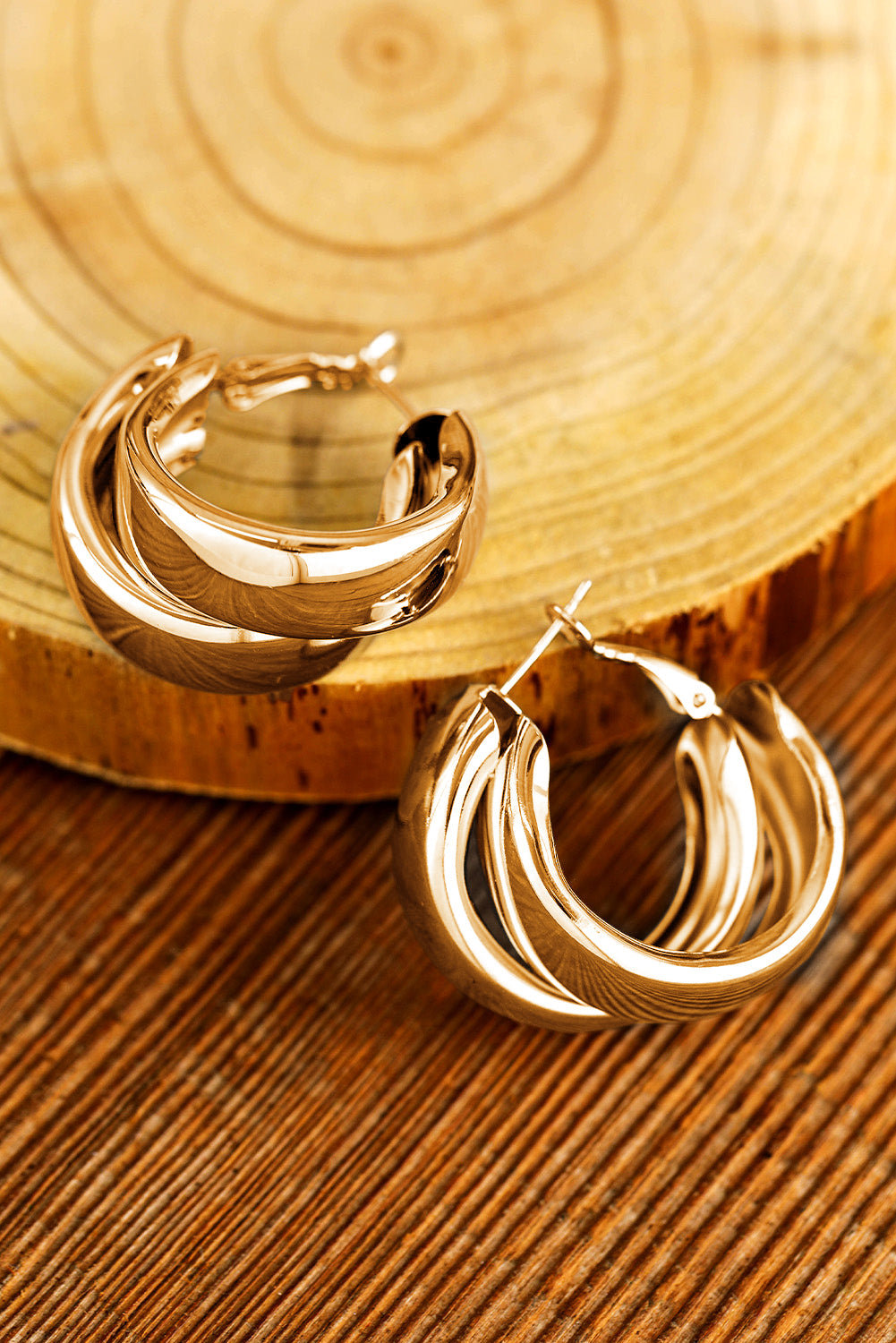 Silvery Layered Hoop Dangle Earrings