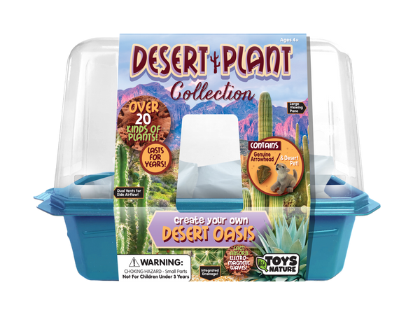Desert Plant Collection Mini World Terrarium