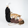 Person lying on a white floor with a small dog on a leash, both looking up.