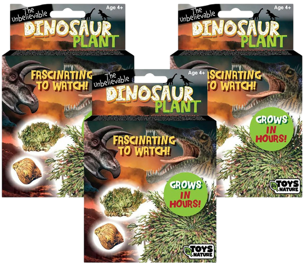 Dinosaur Plant -  Multipack of 3
