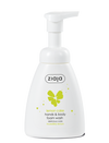 Lemon Cake - Hands & Body Foam Wash - Delicious Skin Care