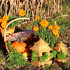 Natural Rattan Pagoda Set - Pair of Small