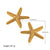 Cocoa Yacht Club Starfish Earrings & Necklace Set