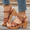 Chunky Heel Wedge Sandals