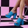 Chunky Heel Platform