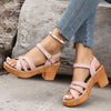 Chunky Heel Wedge Sandals