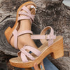 Chunky Heel Wedge Sandals