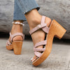 Chunky Heel Wedge Sandals