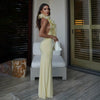 Summer Elegant Halter Deep V Plunge Dress Sexy Backless Sheath Dress