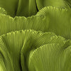 Cocoa Yacht Club White Pleated Fabric
