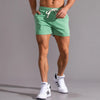 Cocoa Yacht Club Casual Shorts
