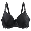 Cocoa Yacht Club Lace Bra