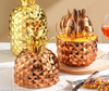 Cocoa Yacht Club 24-Pcs Pineapple Design Stainless Steel Cutlery Set