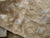 Cocoa Yacht Club Embossed Gold Silk Flower Jacquard Fabric